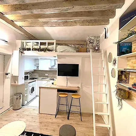 Loft Du Quai Des Grands Augustins Paris