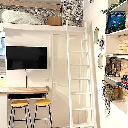 Loft Augustins Appartement Paris