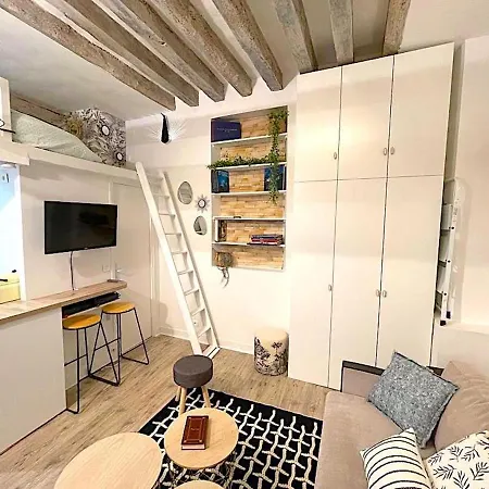 Loft Du Quai Des Grands Augustins