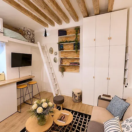 Appartement Loft Augustins Paris